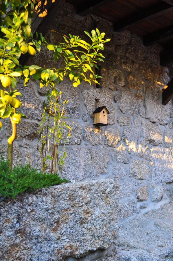 Quinta Das Bollotas Villa Fafe Ngoại thất bức ảnh