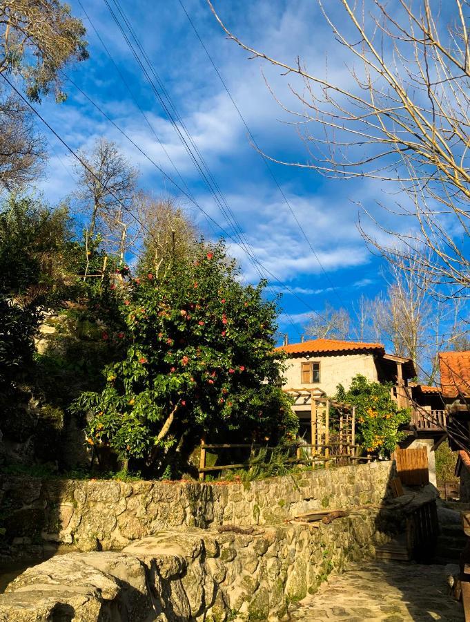 Quinta Das Bollotas Villa Fafe Ngoại thất bức ảnh
