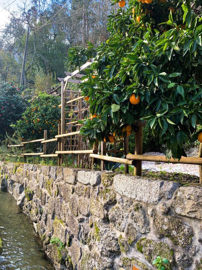 Quinta Das Bollotas Villa Fafe Ngoại thất bức ảnh