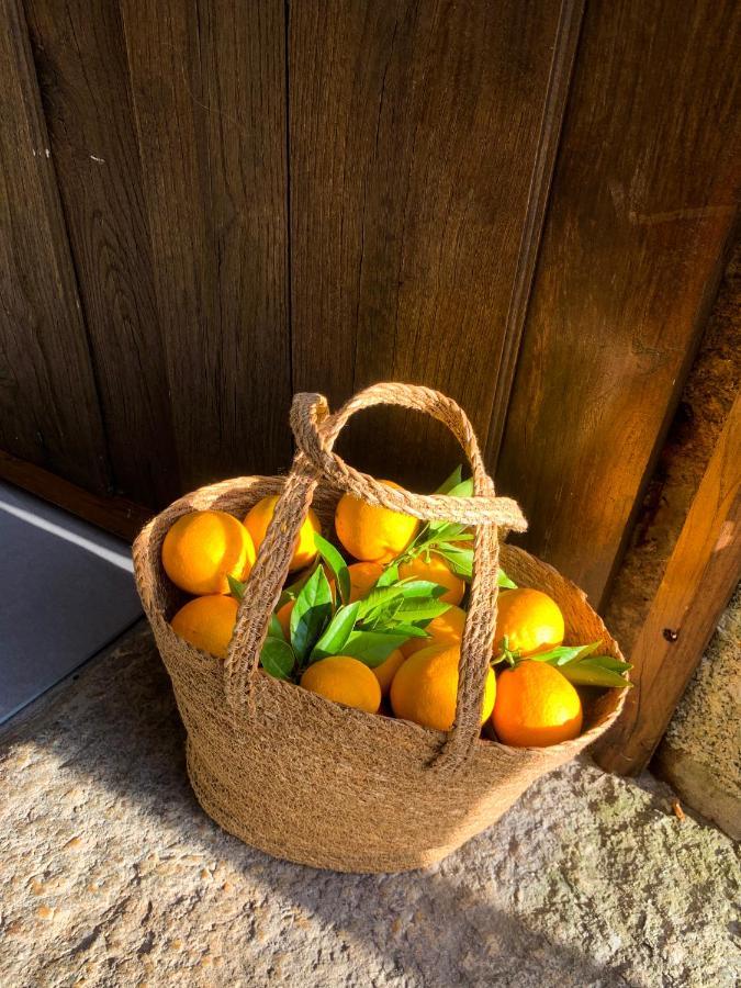 Quinta Das Bollotas Villa Fafe Ngoại thất bức ảnh